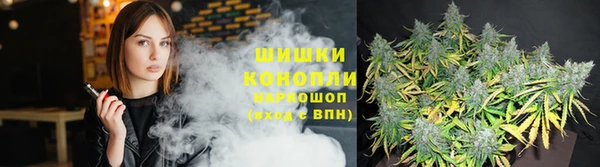 стафф Богородск