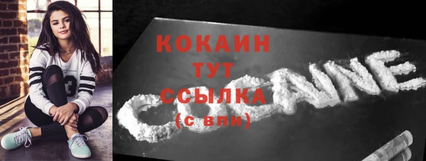 стафф Богородск