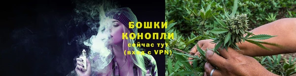 стафф Богородск